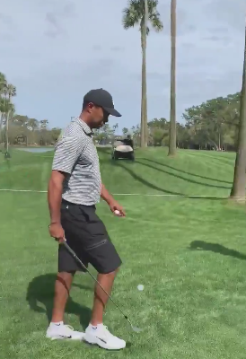 Tiger Woods